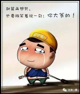 「解密」愤青是个什么物种？