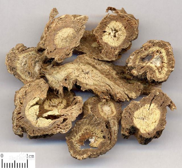 独活的功效与作用有哪些？中药独活性味归经及药对功效