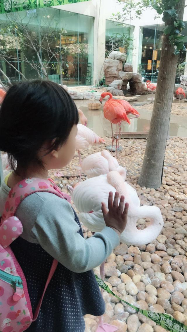 游广州长隆野生动物园最详细带娃攻略看这里！