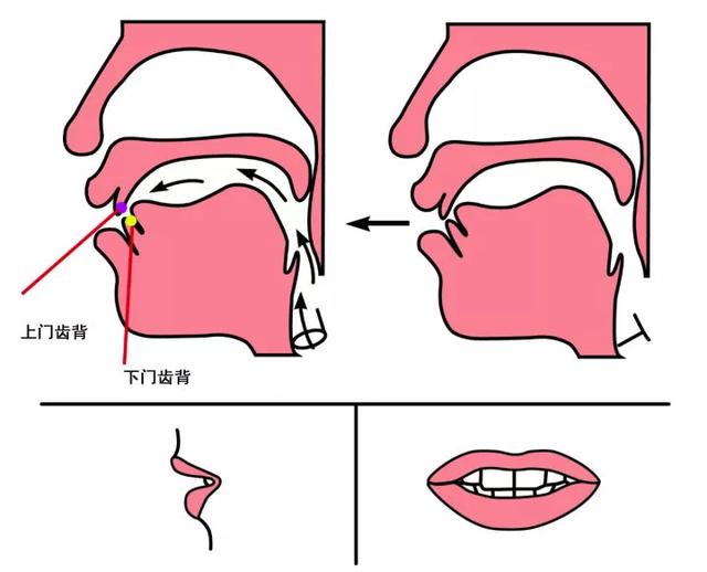 如何纠正普通话平翘舌不分？一定要做好这三点