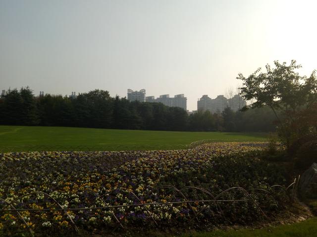 上海世纪公园半日游
