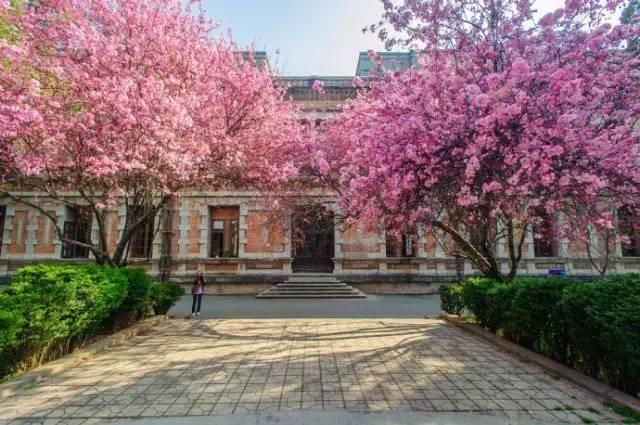 中国最美的十五所大学