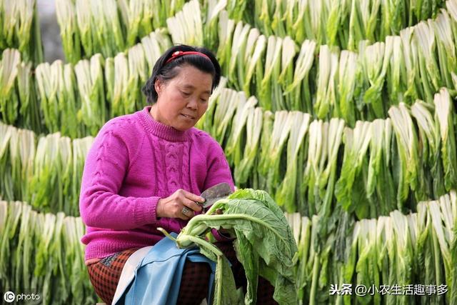 现在回农村开什么加工厂赚钱？七大项目推荐