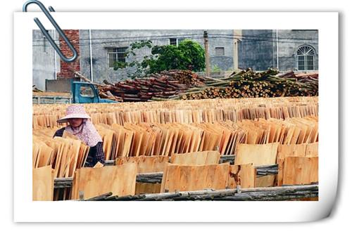 在农村除了种植，尚有什么可以做加工的？推荐以下八个项目供参考