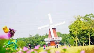 深圳必去的10大免费景点，你去过哪几个？