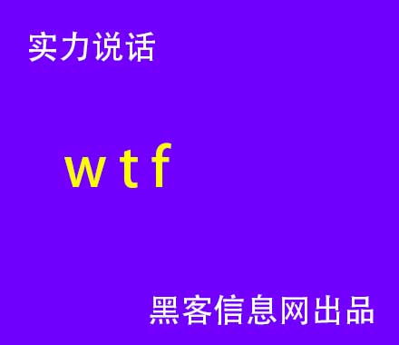 找黑客团伙-关于介绍黑客人物的ppt模板