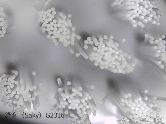 科学测试了9款100-500元电动牙刷，这几款好用最值得买