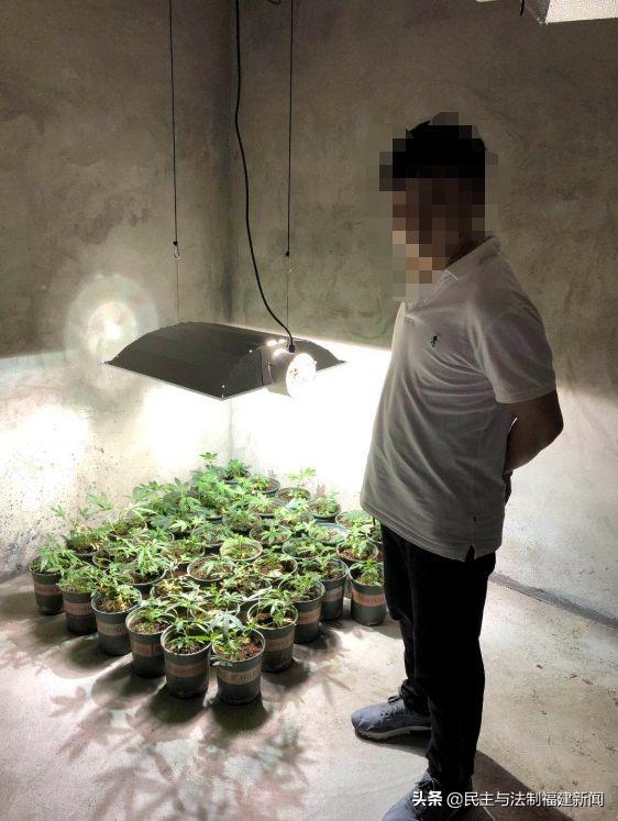 我租7套房种植物想发财，结果警察找上门