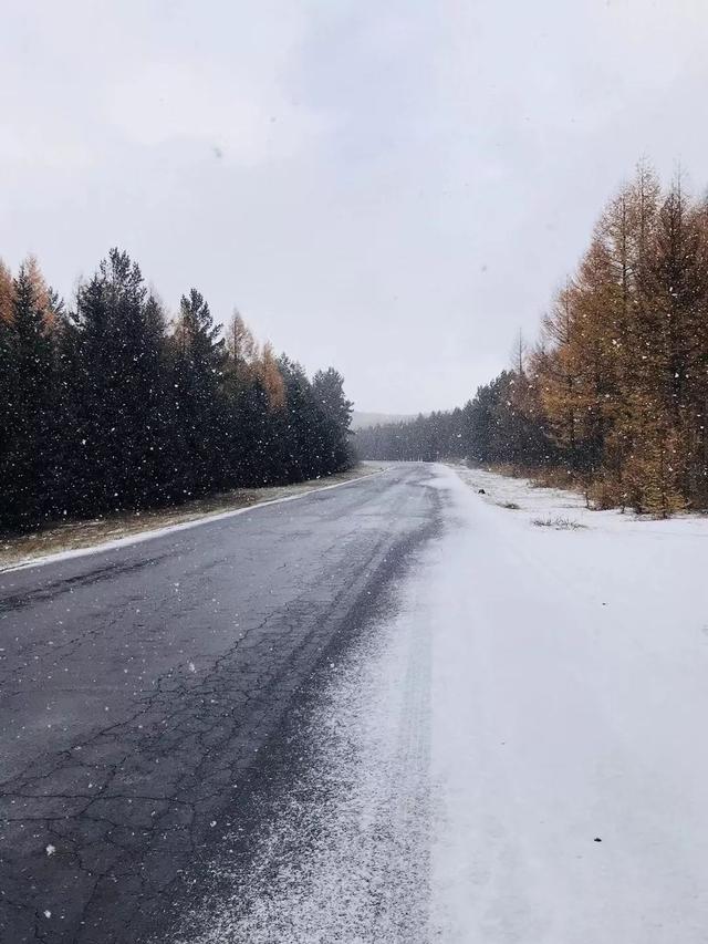 北京已经下雪了，明天继续寒冷，今天你冻傻了吗？