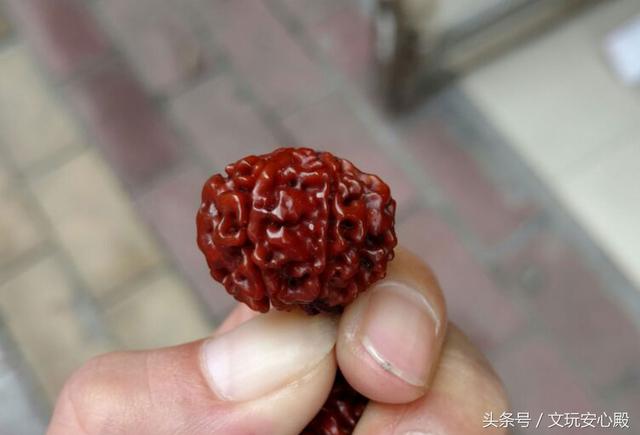 金刚菩提子怎么清理（金刚菩提子手串清洁方法