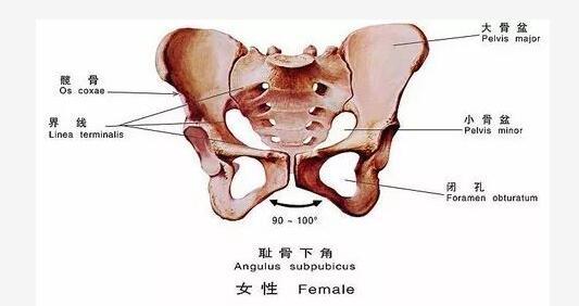 为什么你一定要做产后恢复？！这几个理由很现实！