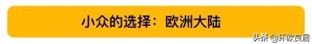 最新世界大学排行榜只看见美英屠榜？被你忽略的那些才是真相