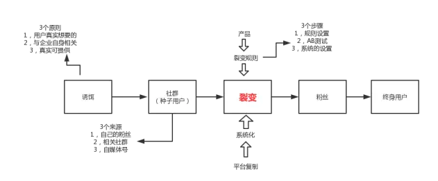 想通过社群裂变涨粉？按这9步走就行