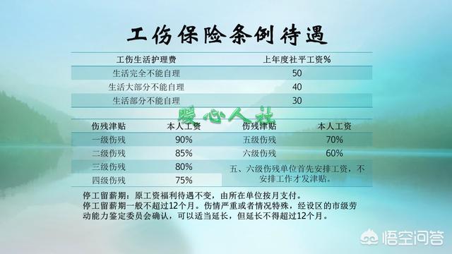 社保中哪几种保险比较有用？你怎么看？