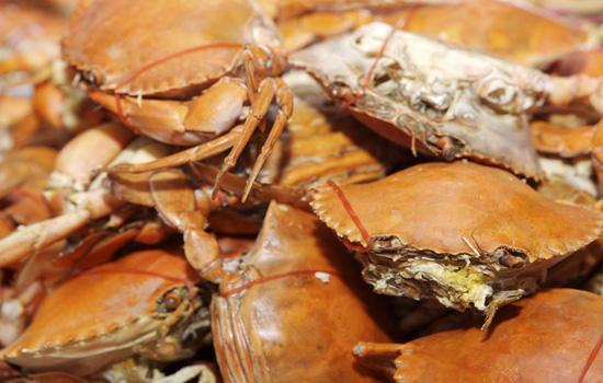 如何清洗螃蟹内脏 清洗螃蟹的三大步骤