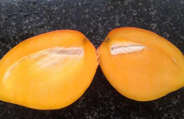 芒果的皮可以吃吗 吃芒果有什么好处