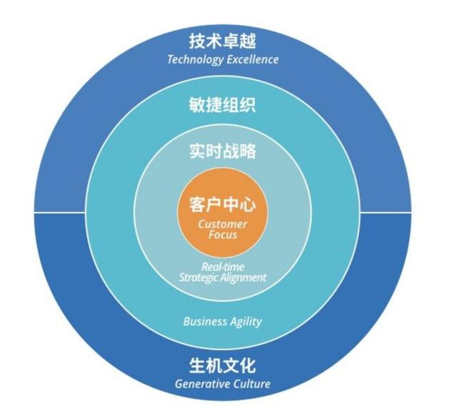转型是什么意思（个人工作转型）