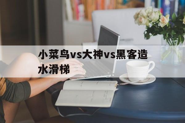 小菜鸟vs大神vs黑客造水滑梯（菜鸟大神黑客比赛建造别墅）