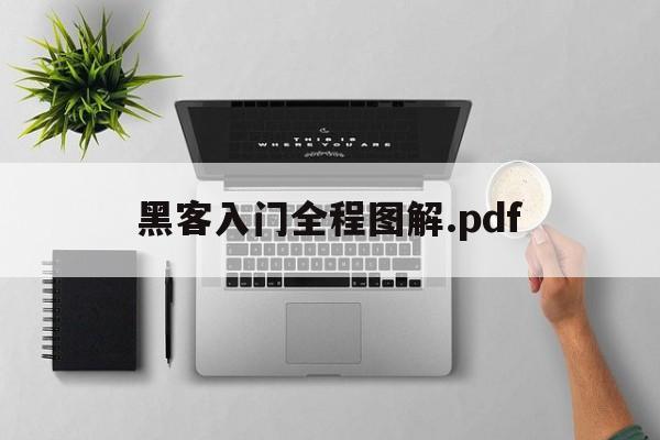 黑客入门全程图解.pdf（黑客入门全程图解和黑客攻防入门到精通）