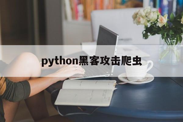 python黑客攻击爬虫（Python攻击）