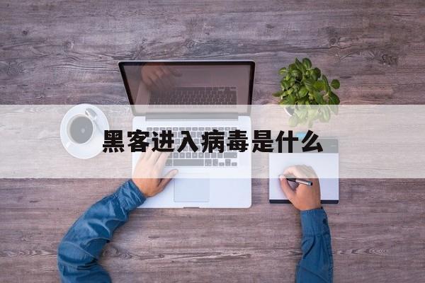 黑客进入病毒是什么（网络黑客是传播计算机病毒者）