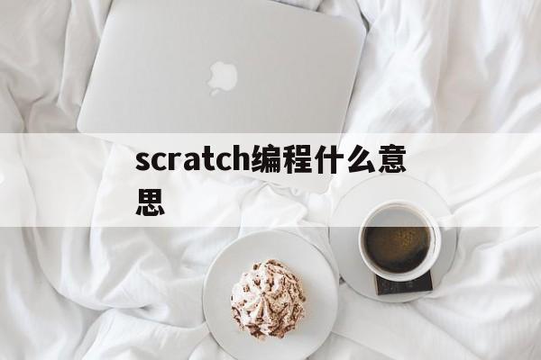 scratch编程什么意思（scratch编程是啥）