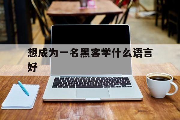 想成为一名黑客学什么语言好（做黑客需要学什么语言）