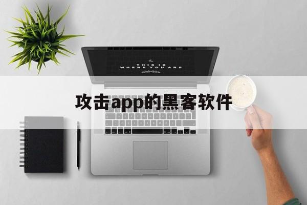 攻击app的黑客软件（黑客软件攻击器手机版）