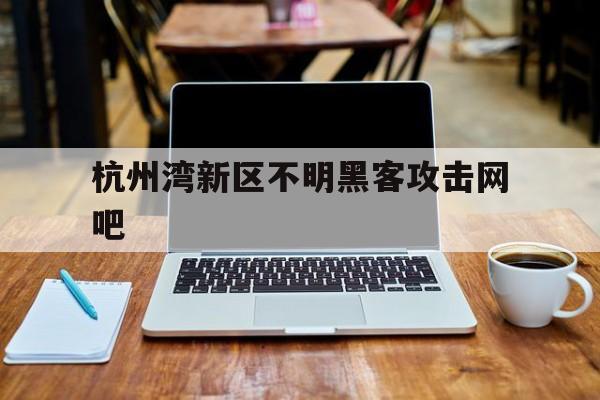 杭州湾新区不明黑客攻击网吧（杭州有没有黑网吧）