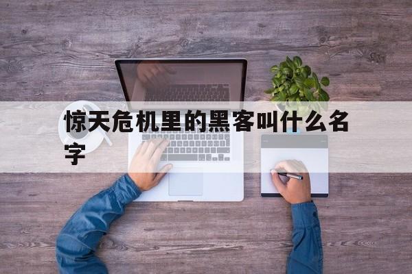 惊天危机里的黑客叫什么名字（惊天危机简介）