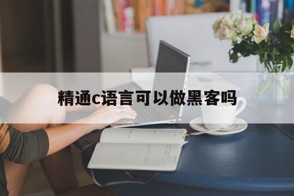 精通c语言可以做黑客吗（精通c语言可以干什么）