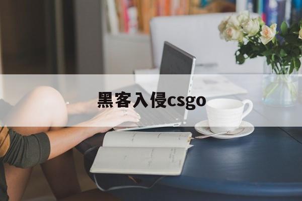 黑客入侵csgo（黑客入侵电脑犯法吗）