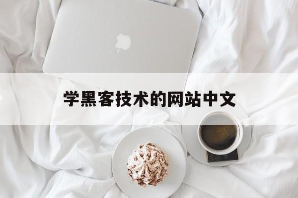 学黑客技术的网站中文（黑客专业网站）
