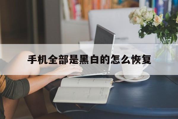 手机全部是黑白的怎么恢复（手机黑白了怎么弄回来）