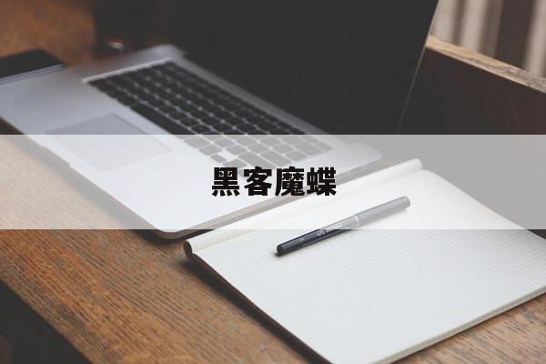 黑客魔蝶（黑客魔蝶全文免费阅读）