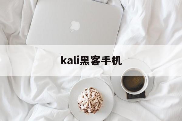 kali黑客手机（kalilinux攻击网站）