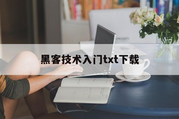 黑客技术入门txt下载（入门黑客教程书）