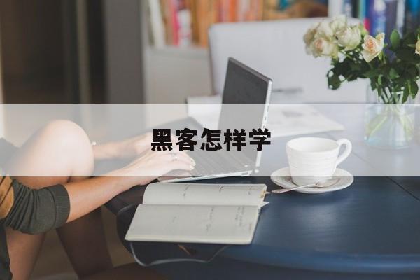 黑客怎样学（黑客都是怎么学起来的）