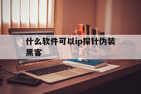 什么软件可以ip探针伪装黑客（伪装ip地址软件）