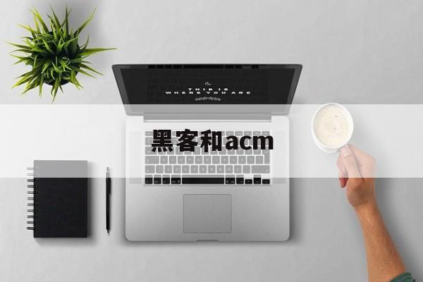 黑客和acm（黑客和画家）