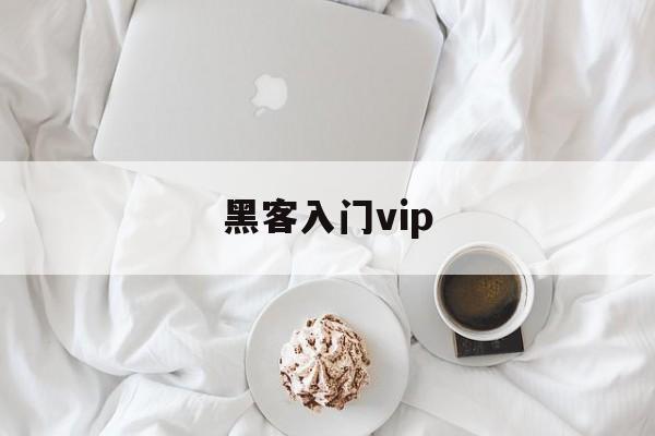 黑客入门vip（黑客入门基础知识）