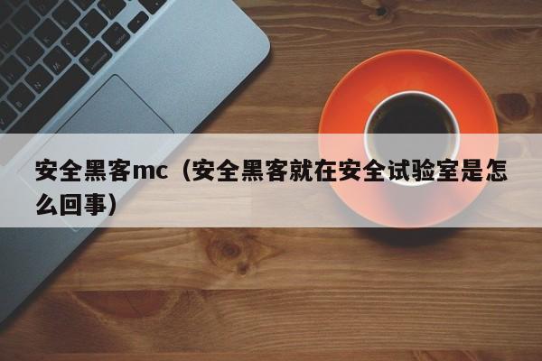 安全黑客mc（安全黑客就在安全试验室是怎么回事）