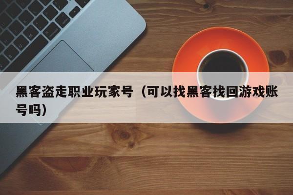 黑客盗走职业玩家号（可以找黑客找回游戏账号吗）