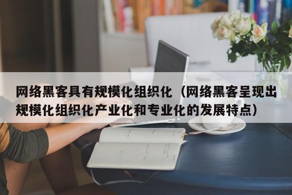 网络黑客具有规模化组织化（网络黑客呈现出规模化组织化产业化和专业化的发展特点）