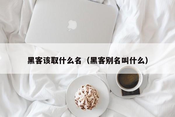 黑客该取什么名（黑客别名叫什么）