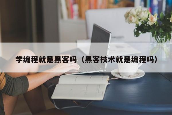 学编程就是黑客吗（黑客技术就是编程吗）