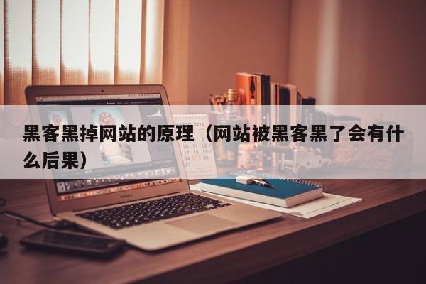 黑客黑掉网站的原理（网站被黑客黑了会有什么后果）