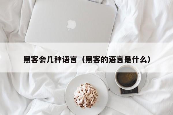 黑客会几种语言（黑客的语言是什么）