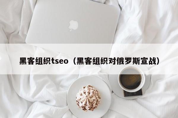 黑客组织tseo（黑客组织对俄罗斯宣战）